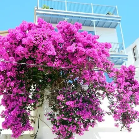 Blue Spiridon With Amazing Views Skopelos Town